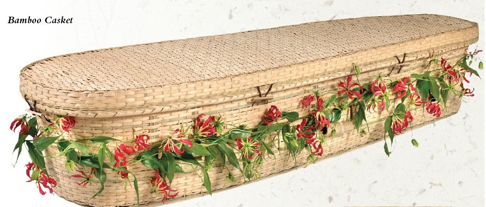 Photo of Bamboo Nature Casket Casket