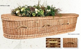 Image of Willow Nature Casket Casket