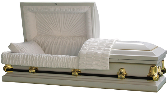 Image of Galaxy WHITE/GOLD Steel Casket Casket